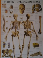 /album/fotogalerie/p1010368-jpg/